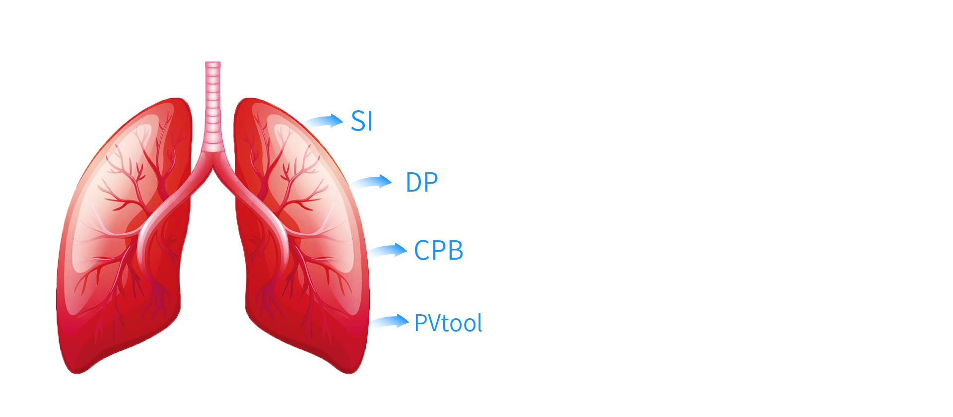 Protecting lungs, protecting you!